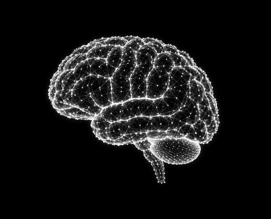 Wireframe brain